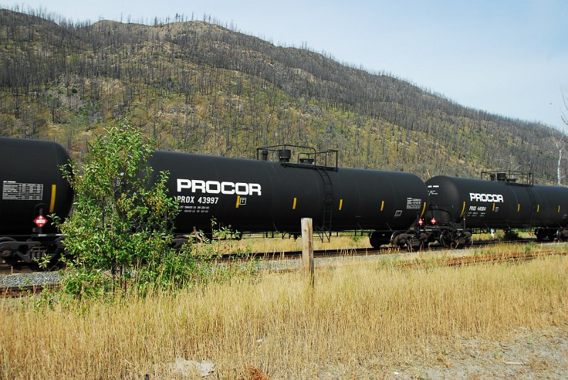 DSC_3475.JPG