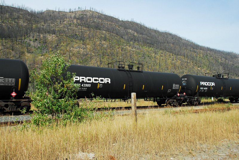 DSC_3477.JPG