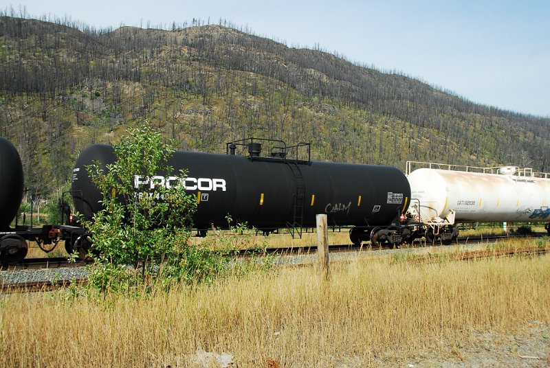 DSC_3483.JPG