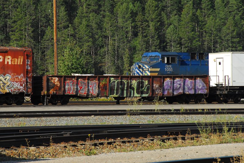 DSC_4201.JPG