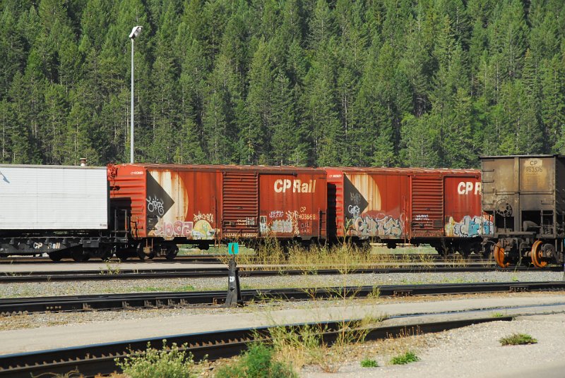 DSC_4202.JPG