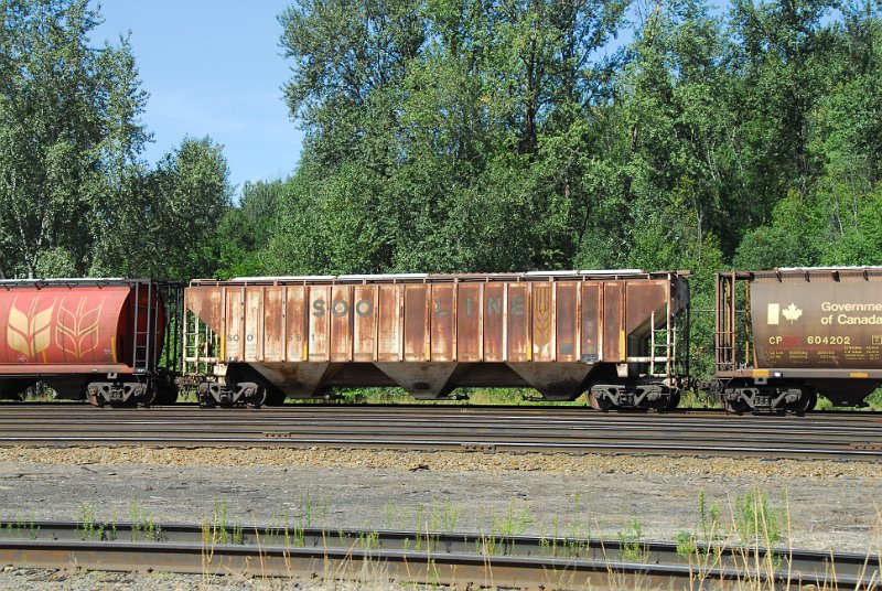 DSC_4259.JPG