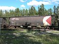 CP384726_1