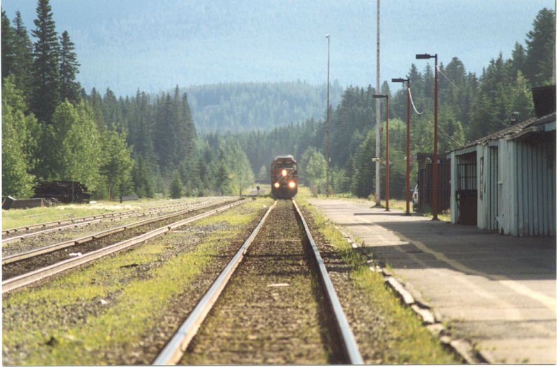 CP_008.jpg