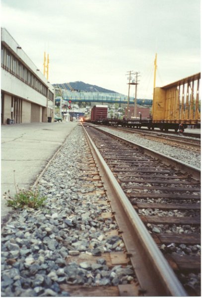 CP_037.jpg