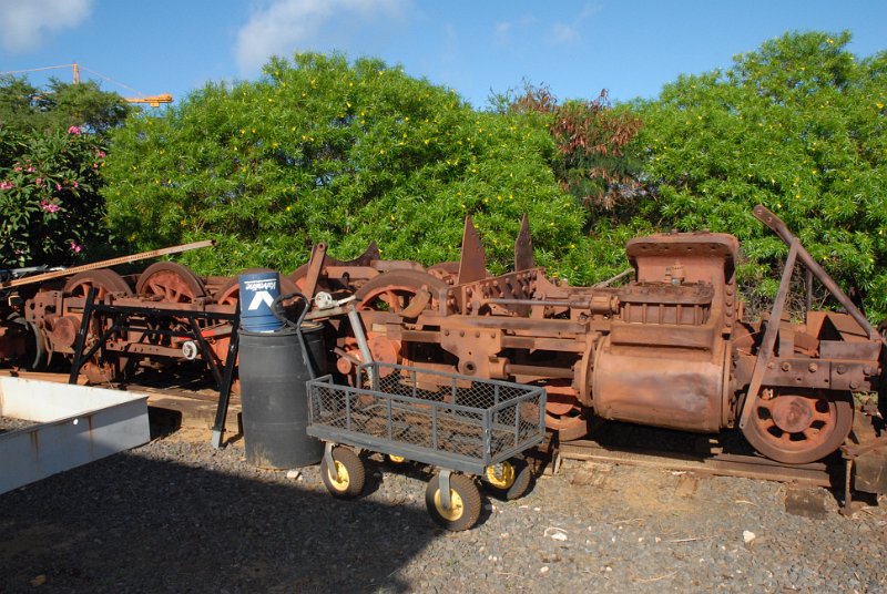 DSC_0444.JPG