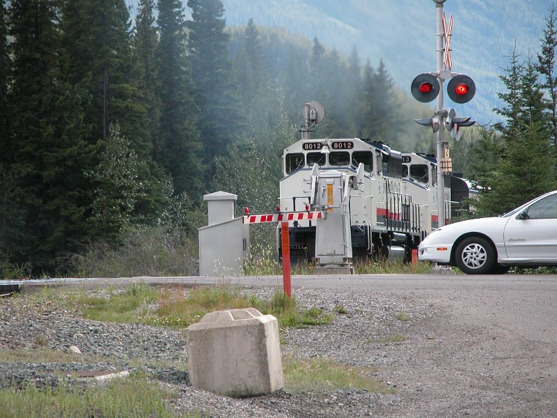 RMR8012_1.jpg