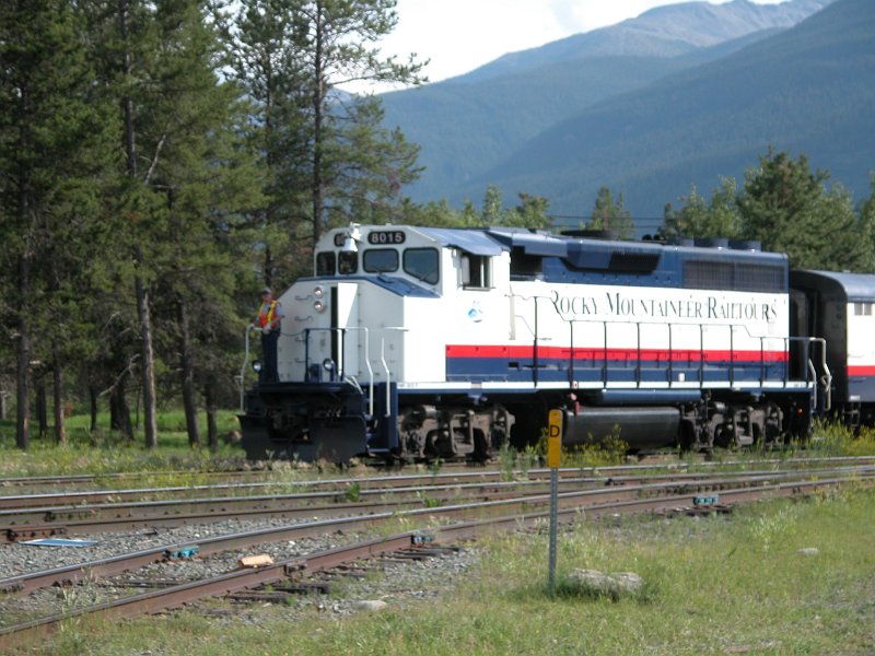 RMR8015_1.jpg