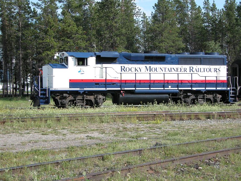 RMR8015_2.jpg