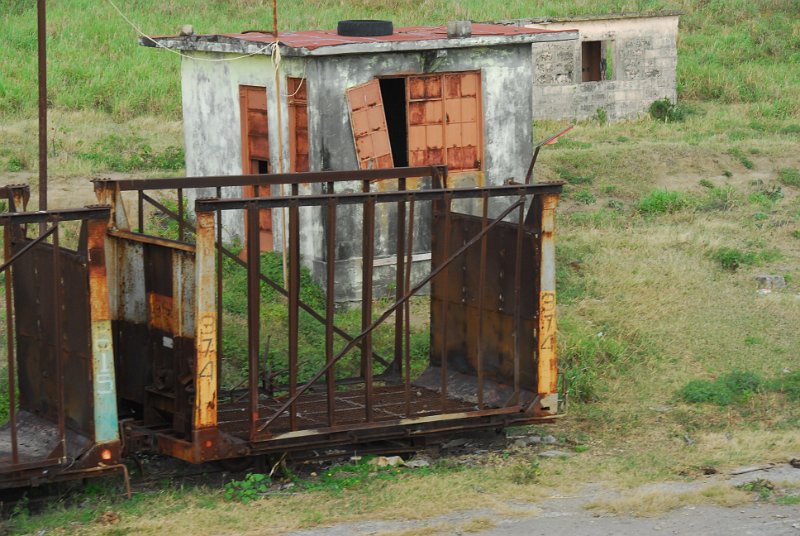 DSC_4950.JPG