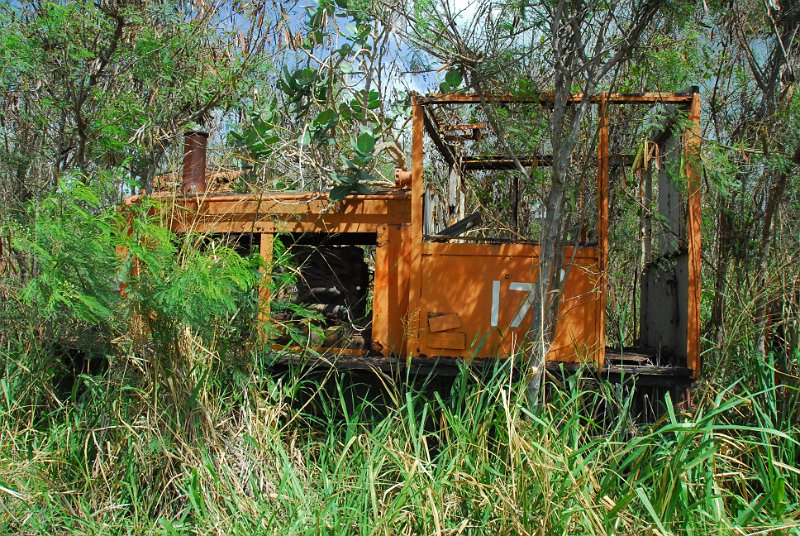 DSC_5066.JPG