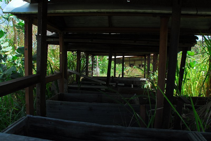 DSC_5076.JPG
