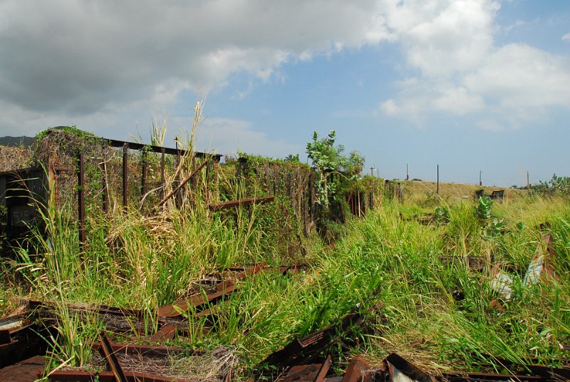 DSC_5087.JPG