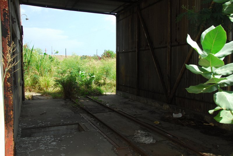 DSC_5099.JPG