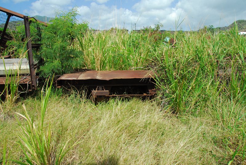 DSC_5103.JPG