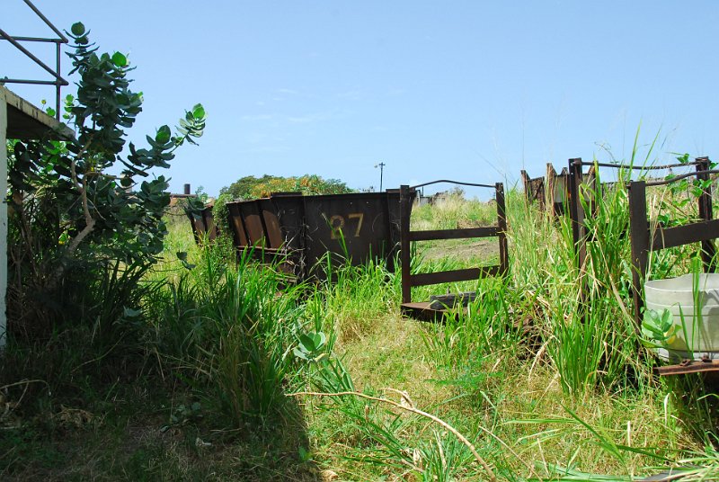 DSC_5105.JPG