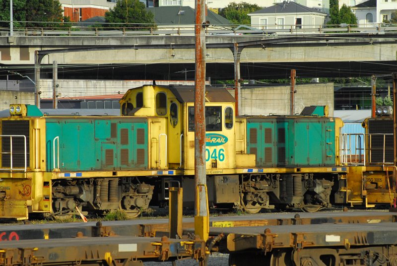 DSC_2696.JPG