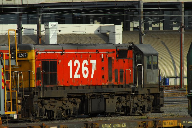 DSC_2697.JPG