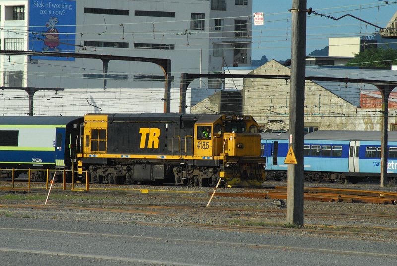 DSC_2705.JPG