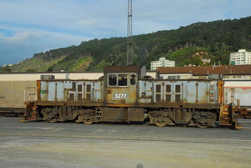 DSC_2715.JPG