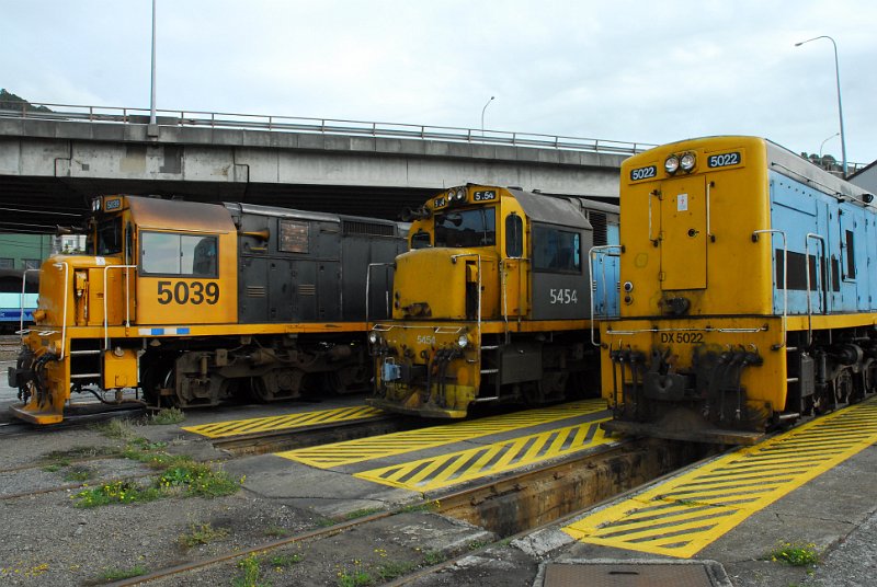 DSC_2763.JPG