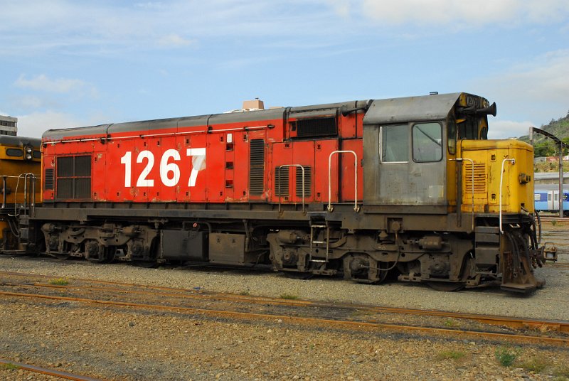 DSC_2769.JPG