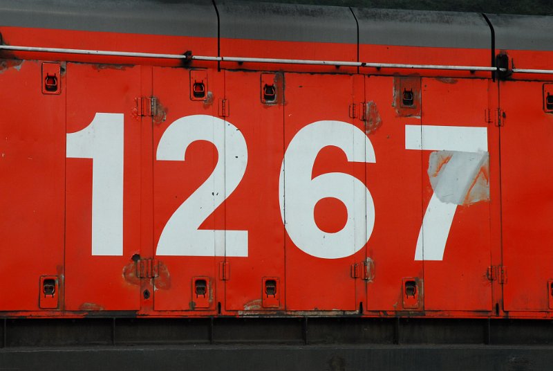 DSC_2773.JPG