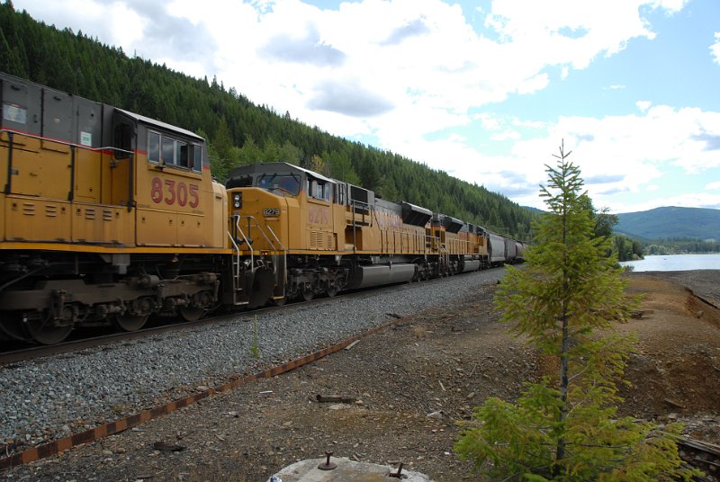 DSC_6542.JPG