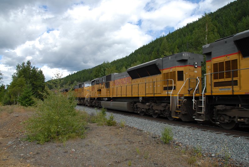 DSC_6544.JPG