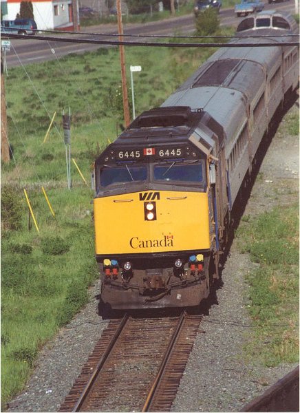 VIA6445_1.jpg